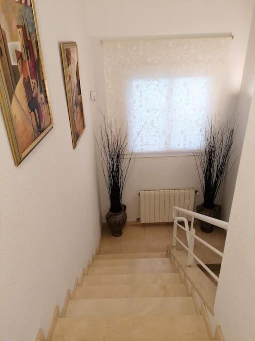Duplex Playa Lejlighed Blanes Eksteriør billede